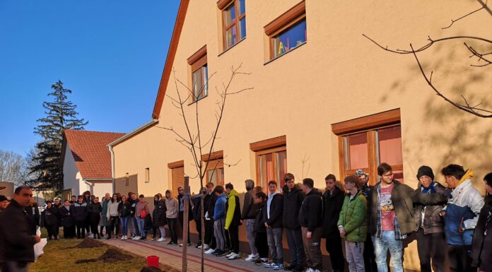 Osztályfát ültettek a szakképzős diákok Mórahalmon