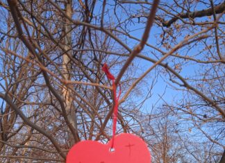 A házasságot ünneplik Mórahalmon is