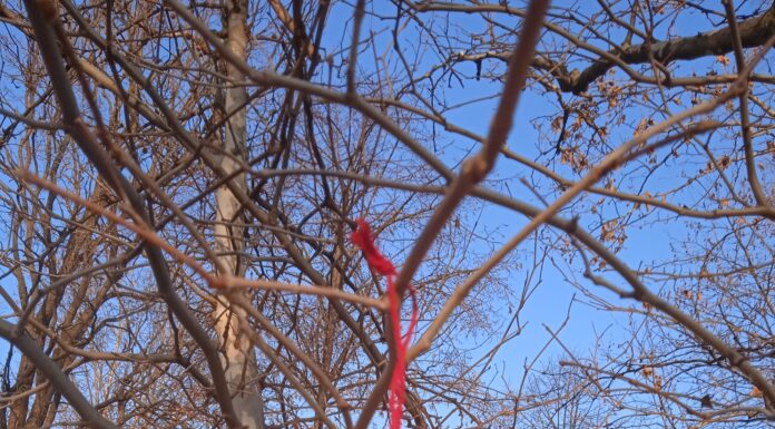 A házasságot ünneplik Mórahalmon is