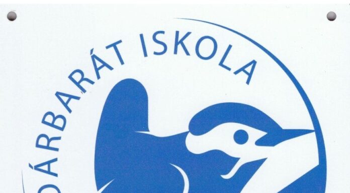 Már hivatalosan is madárbarátok a mórahalmi katolikus iskola diákjai és pedagógusai