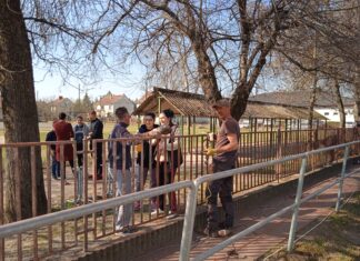 Szülők és pedagógusok festették újra az iskola kerítését Domaszéken