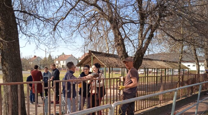 Szülők és pedagógusok festették újra az iskola kerítését Domaszéken