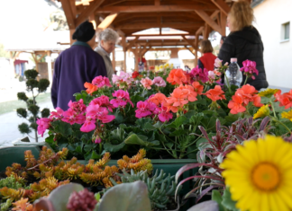 Idén tovább bővül a domaszéki piac