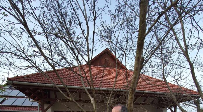 Madárodút ajándékoztak a mórahalmi nagycsaládosok a helyi gyerekeknek