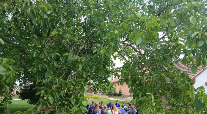 Nyílt nap a Tökmagbirtokon