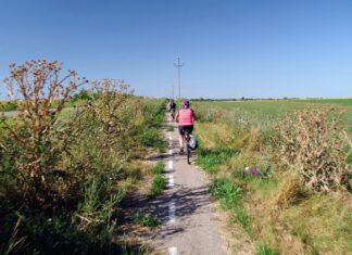 Közel 400 bringás kerekezik szombaton a Homokhátságon