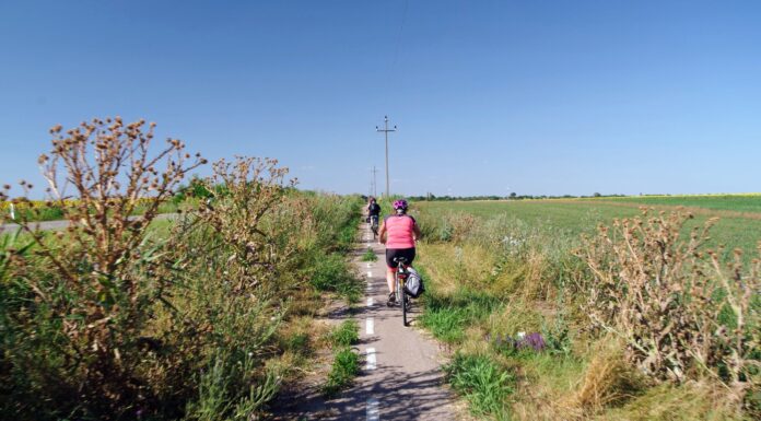 Közel 400 bringás kerekezik szombaton a Homokhátságon