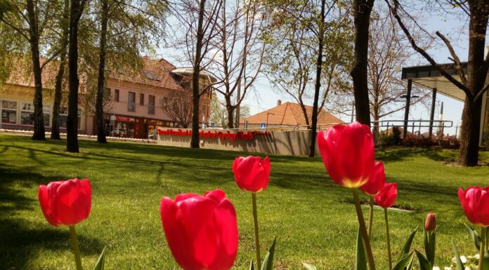 Lakossági kérdőív a turizmusról – a Móra Tourist Kft. felhívása