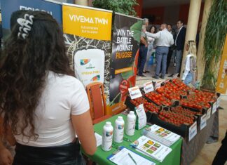 A Magyar Paradicsom Napja az Aranyszömben