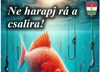 Mórahalmon is emelkedik az internetes és telefonos csalások száma. Körültekintően adjunk meg adatokat ismeretleneknek!