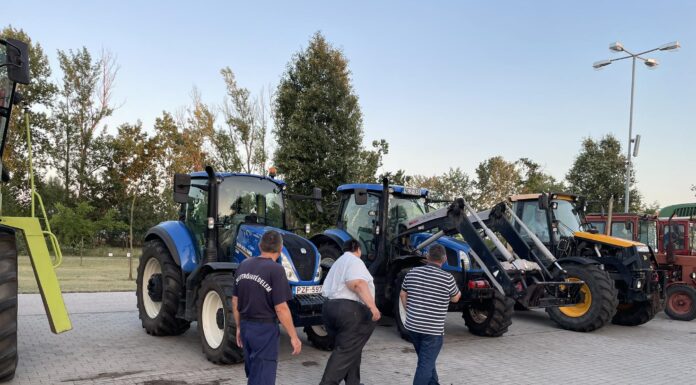 Idén is megtartották az aratási gépszemlét Mórahalmon