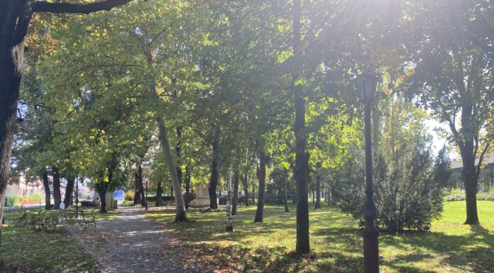 Mórahalom támogatást nyert hulladékfelszámolásra