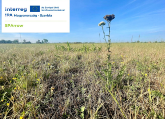 Termálvízzel a szikeseink megmentéséért!