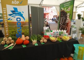 Móra-Input Kft. vetőmagbörzét rendezett Mórahalmon