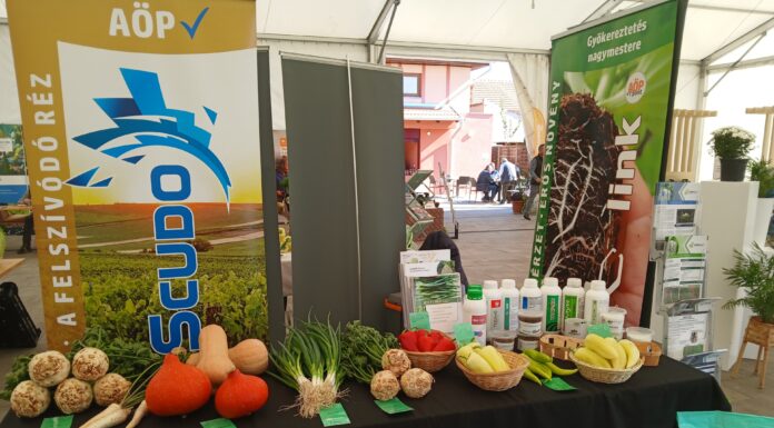 Móra-Input Kft. vetőmagbörzét rendezett Mórahalmon