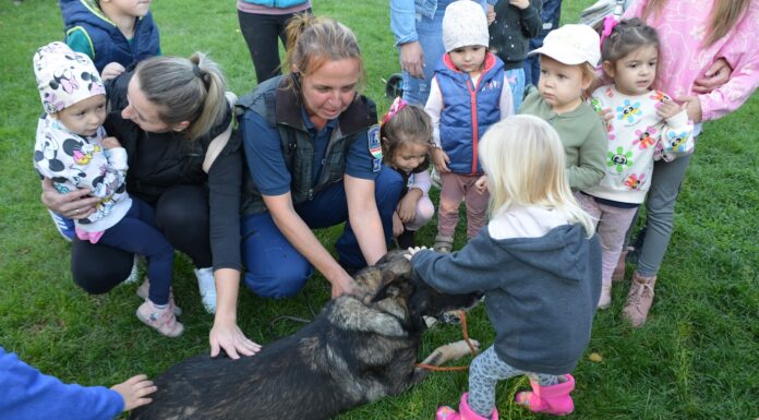 Családi napot rendeztek a mórahalmi óvodában