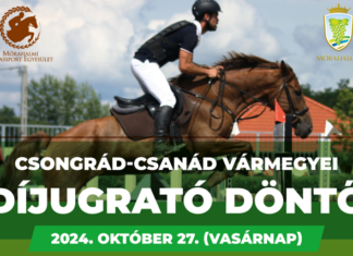Megyei díjugrató döntő Mórahalmon