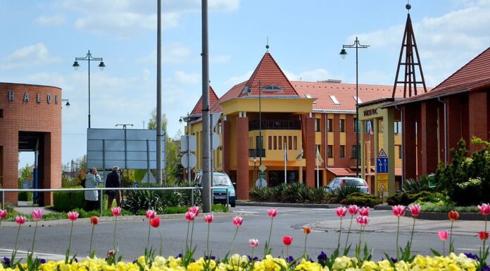 A közösségek támogatásáért díjazták a mórahalmi önkormányzatot