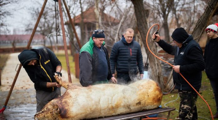 Rotary Böllérnapot rendeztek Mórahalmon