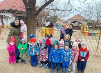 Télen is óvják a madarakat a mórahalmi óvodások
