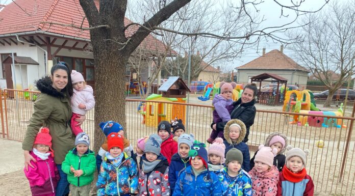 Télen is óvják a madarakat a mórahalmi óvodások