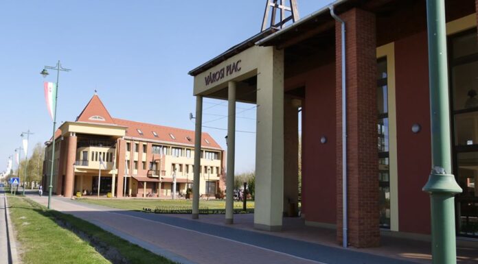 Tájékoztató fás növények szaporítóanyagainak árusításával kapcsolatban