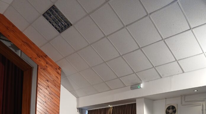 75. születésnapját ünnepli Ruzsa