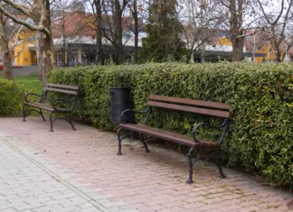 Új hulladékgyűjtő edények kerültek ki Mórahalom utcáira, tereire – videó