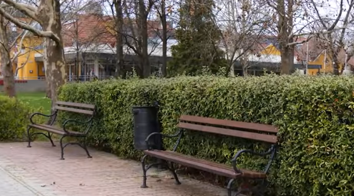 Új hulladékgyűjtő edények kerültek ki Mórahalom utcáira, tereire – videó