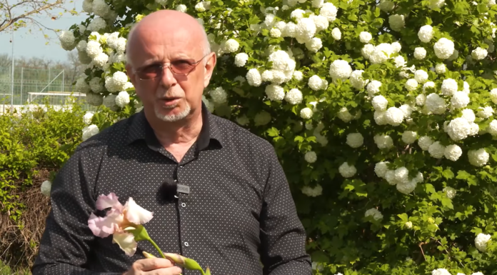 Mórahalom polgármesterének köszöntője anyák napján – videó