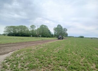 Az időjárás függvényében zajlik a külterületi utak karbantartása Mórahalmon