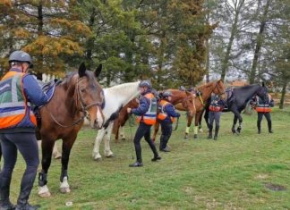 Eredményes évkezdés a mórahalmi polgárőrségnél – 6230 óra szolgálat négy hónap alatt