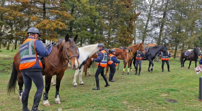 Eredményes évkezdés a mórahalmi polgárőrségnél – 6230 óra szolgálat négy hónap alatt