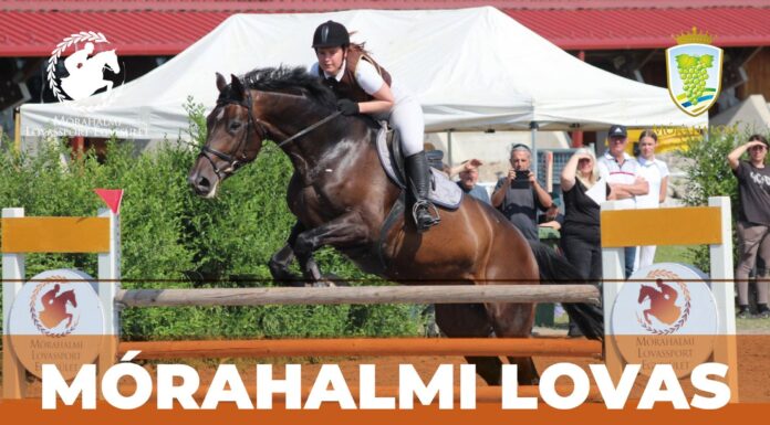 Meghívó családi napra a mórahalmi lovardába
