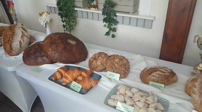 30 éve sütik a kenyeret a Varga Pékségben