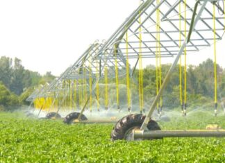 Öntözésfejlesztés Mórahalmon-videó