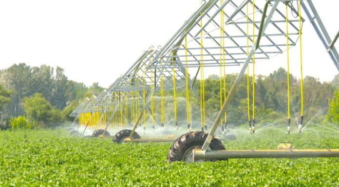 Öntözésfejlesztés Mórahalmon-videó