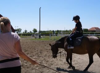 Lovas tábor és lovas színház fúziója Mórahalmon – videó