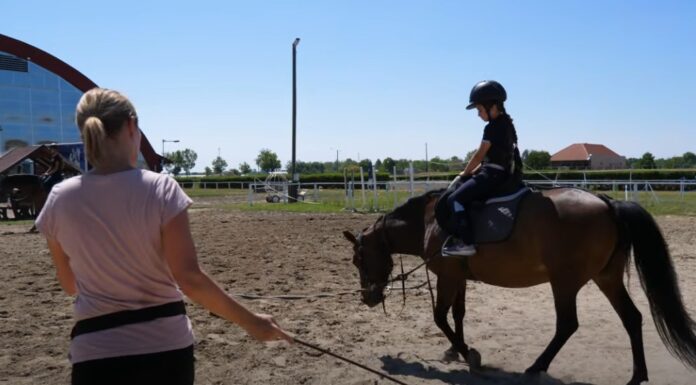 Lovas tábor és lovas színház fúziója Mórahalmon – videó