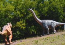 Dinópark nyílt Domaszéken- videó