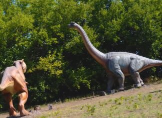 Dinópark nyílt Domaszéken- videó