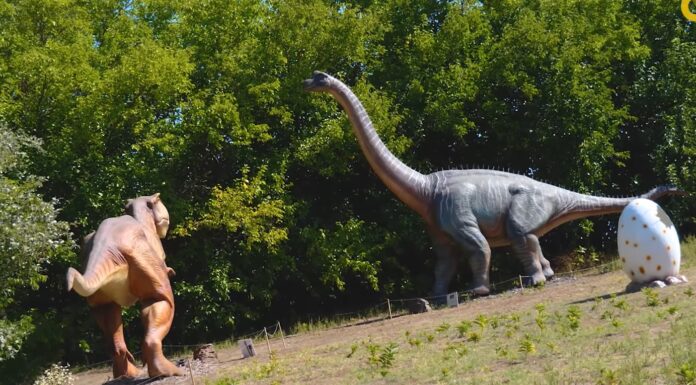 Dinópark nyílt Domaszéken- videó