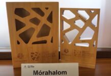 Mórahalom a világ élvonalában! – videó