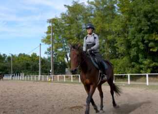 Ifjú huszár program indult Mórahalmon – videó