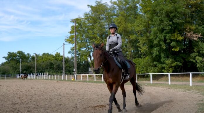 Ifjú huszár program indult Mórahalmon – videó