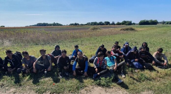 Idén is támogatja a kormány a mezőőri szolgálatokat