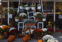 Hogyan hat a Best Tourism Villages díj Mórahalom idegenforgalmára? – videó