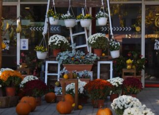 Hogyan hat a Best Tourism Villages díj Mórahalom idegenforgalmára? – videó