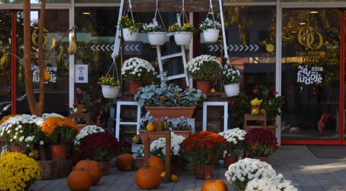 Hogyan hat a Best Tourism Villages díj Mórahalom idegenforgalmára? – videó