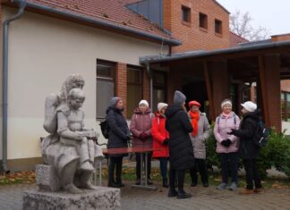 A Mórahalmi Egészségfejlesztő Iroda közös sétát szervezett – videó